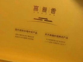 天子(观天下)