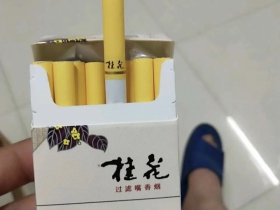 长白山(硬桂花)