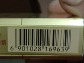 298_49515