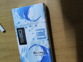 520(SLIMS)