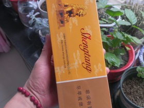 盛唐(吉祥)