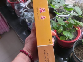 盛唐(吉祥)