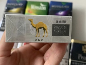 骆驼(1mg 100S日版)