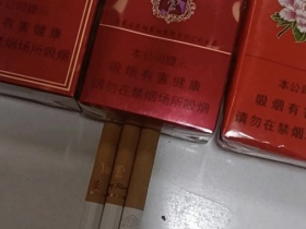 云烟(软苁蓉)