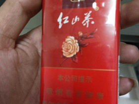 红山茶(软)