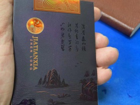真龙(甲天下中支)