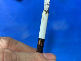 真龙(甲天下中支)
