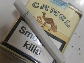 骆驼(无嘴中南半岛免税)