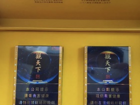 天子(观天下)