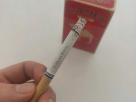 95647_81279