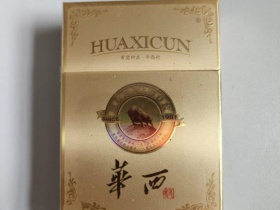 华西村(经典)