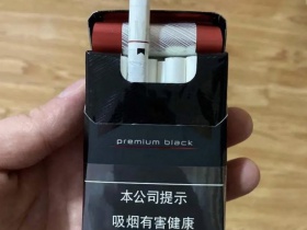 97923_44815