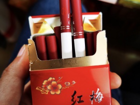 红梅(硬春)