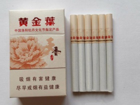 黄金叶(天香.洛阳牡丹文化节)