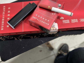 黄鹤楼(软论道短)