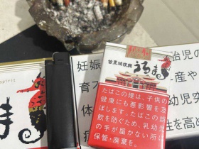 海马(软)