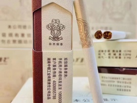 芙蓉王(密码)