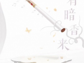 芙蓉王(匠心手作)
