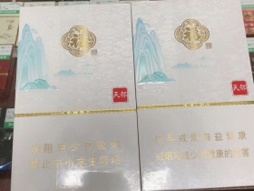 黄山(天都中支癸卯贺岁版)