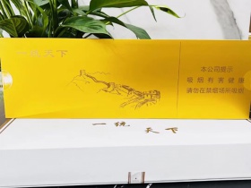 长城(万里长城)