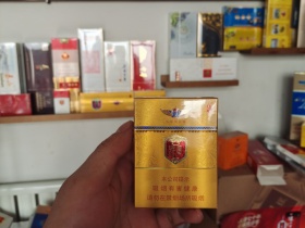 泰山(金将中支)