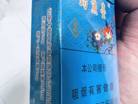 玉溪(景泰蓝钓鱼台)