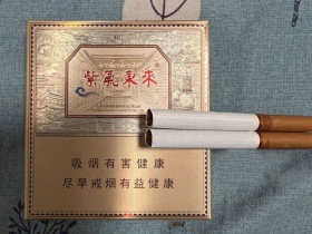 紫气东来(1928)