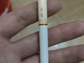 94855_34977