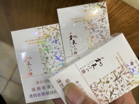 95668_58515
