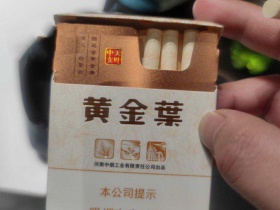 95666_71913