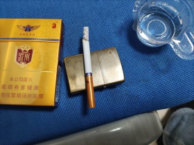 泰山(金将中支)
