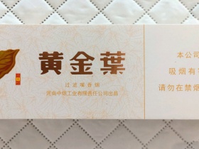 黄金叶(小天叶)