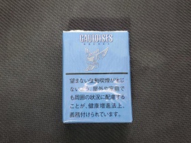 法国高卢(BRUNES日版)