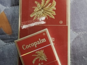 椰树(硬)