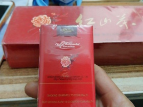 红山茶(软)