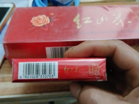 红山茶(软)