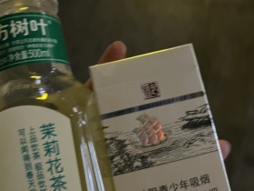 真龙(起源)