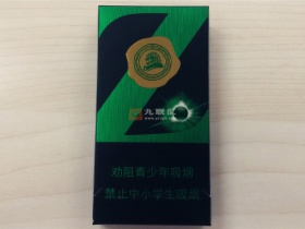中南海(Z冰)