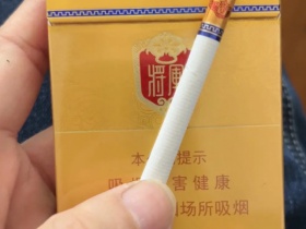 泰山(金将中支)