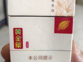 黄金叶(小黄金)