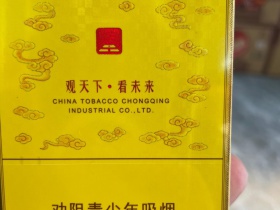 天子(黄中支)