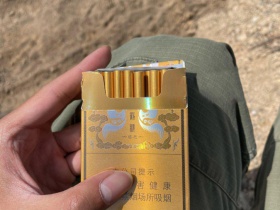 黄鹤楼(硬感恩中支)