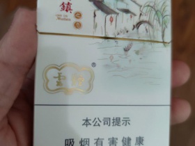 云烟(乌镇之恋中支)