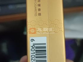 106263_72668