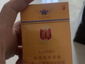 泰山(金将中支)