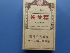 黄金叶(天香)