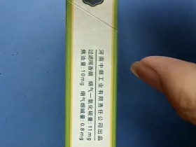红旗渠(金钟)