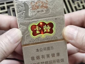 云烟(云龙)