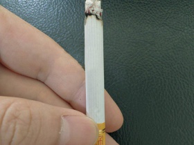 天子(软黄)
