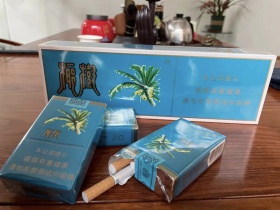 椰树(软)